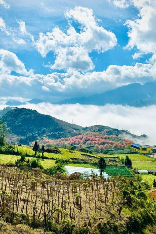 From Ho Chi Minh: Sapa Tour 2 Days 1 Night Tour