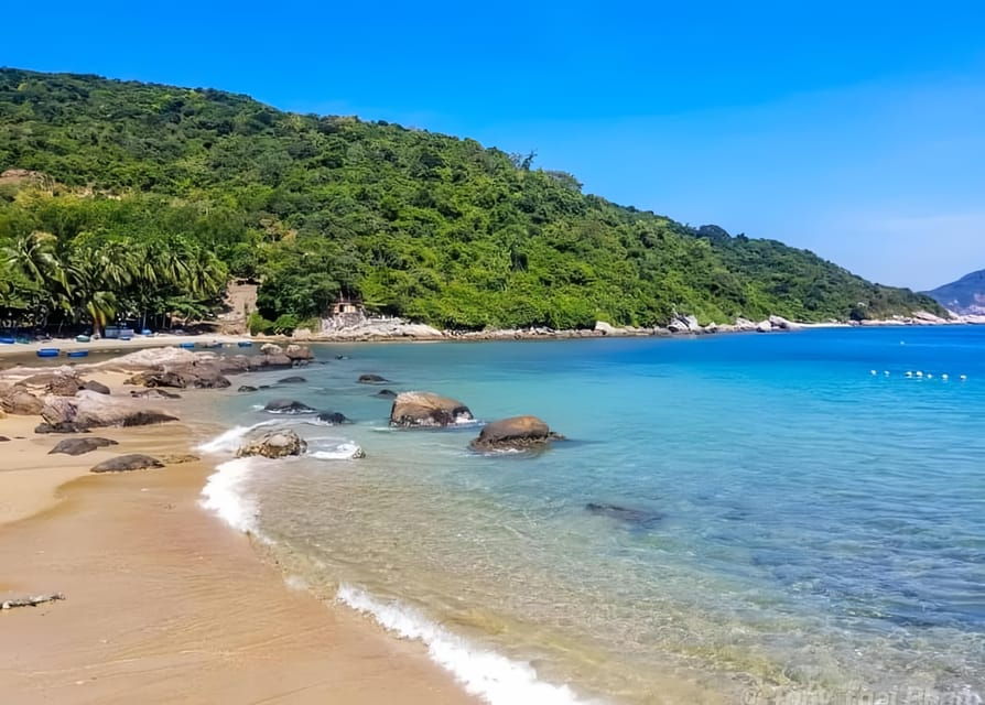 From Hoi An/ Da Nang: Swimming & Snorkeling In Cham Islands - Overview and Pricing