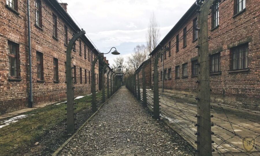 From Krakow: Auschwitz Birkenau Self-Guided Tour - Tour Overview and Pricing