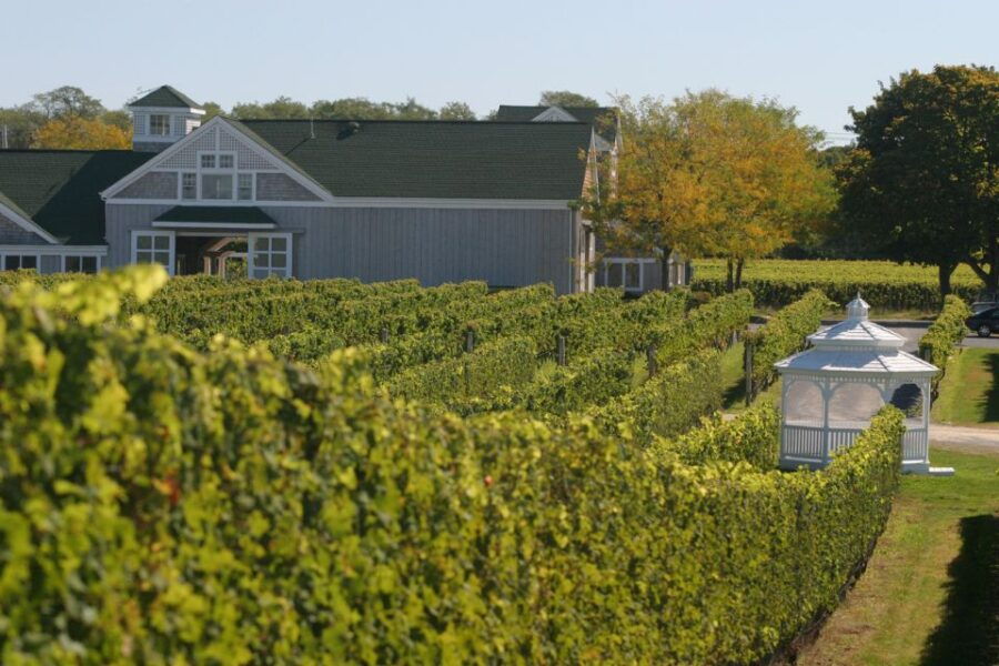 From Mattituck: Guided Brewery and Vineyard Tour by Bicycle