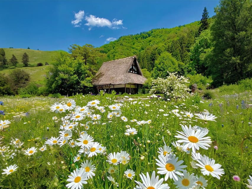 From Nagoya: Hida Takayama and Shirakawa-go UNESCO Day Trip