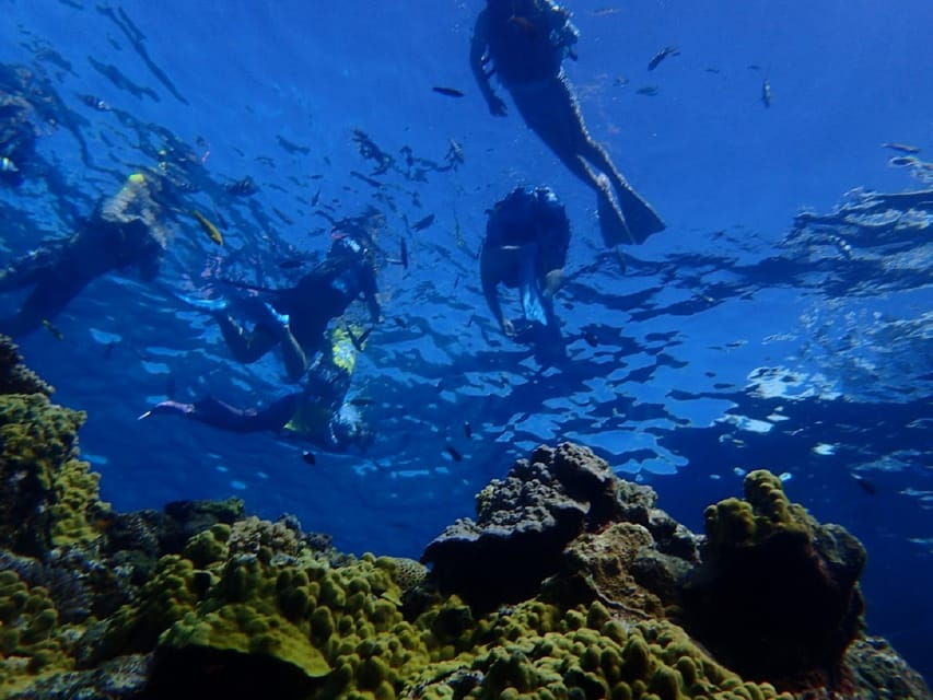 From Naha: Full-Day Snorkeling Tour to Kerama - Tour Overview