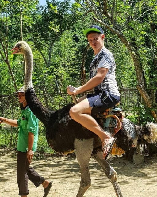 From Nha Trang: Full Day Trip to Yang Bay Waterfall - Booking Process and Options