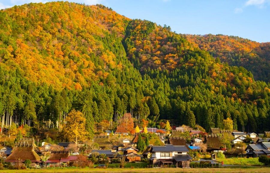 From Osaka: Kyoto Full-Day Guided Tour