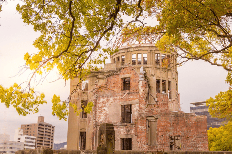 From Osaka/Kyoto: Hiroshima and Miyajima Private Tour - Tour Overview and Pricing