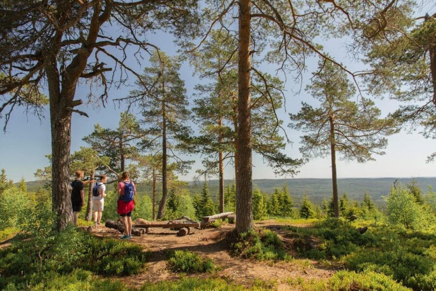 From Oslo: The Nordmarka Challenge!
