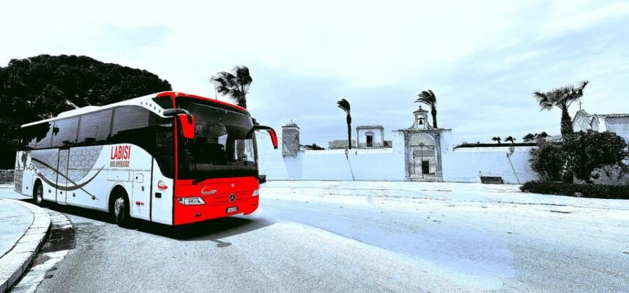 From Palermo: San Vito Lo Capo Beach Roundtrip Bus Transfer - Overview of the Experience