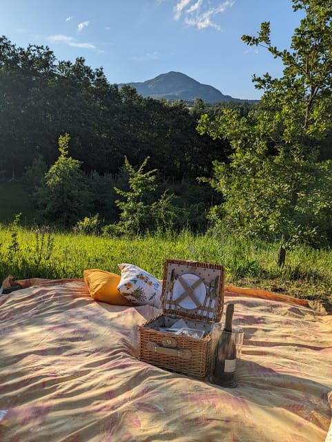 From Parma/Cinque Terre: Truffle & Parmesan Picnic (Tasting) - Picnic Setup and Ambiance
