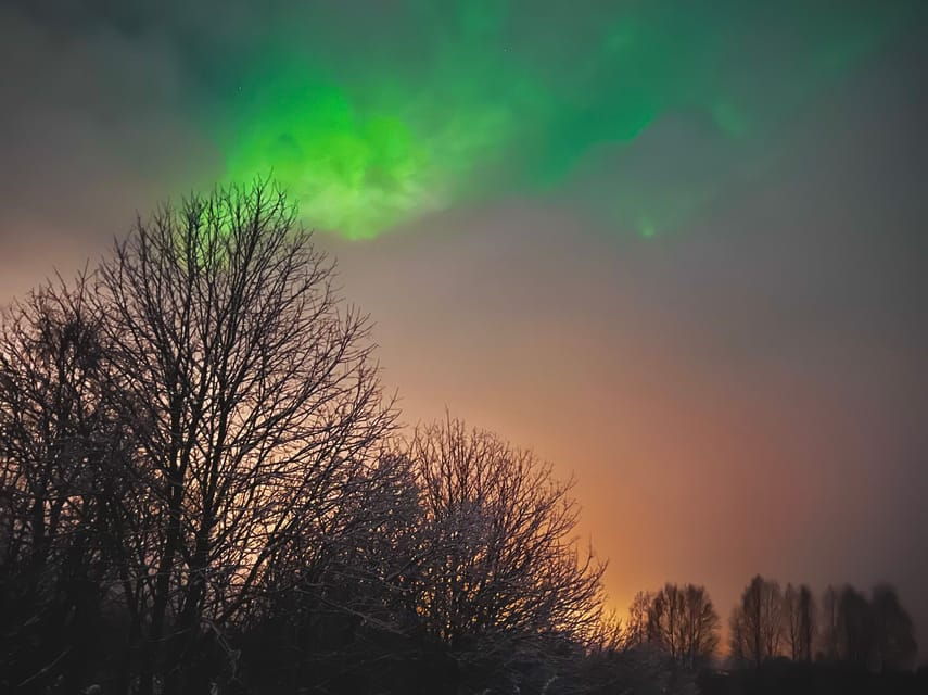 From Rovaniemi: Lapland Aurora Hunt With Barbeque