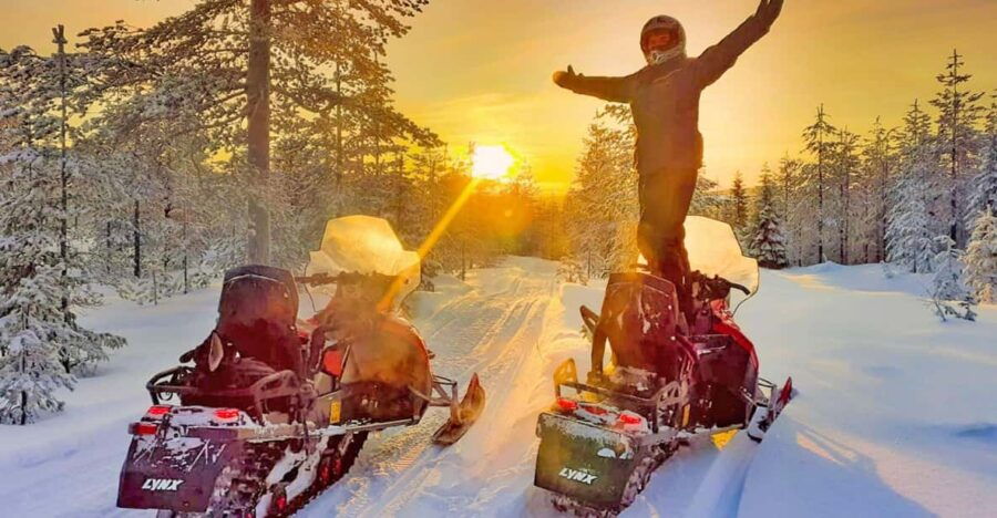 From Rovaniemi: Snowmobile Safari Into Arctic Wilderness