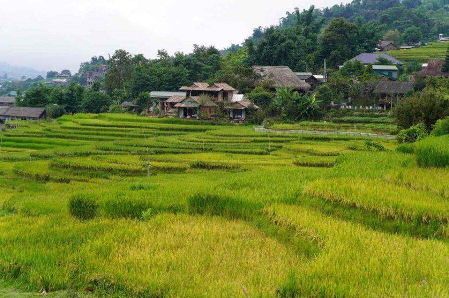 From Sapa: Ha Giang Loop 3-day Motorbike Tour With EasyRider