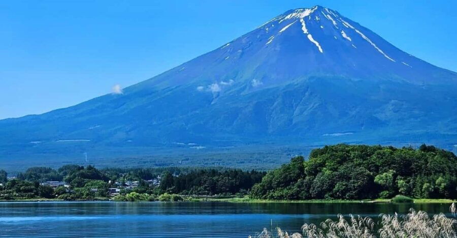 From Tokyo: Mt Fuji, 5th Station, & Hot Springs Day Trip - Tour Overview
