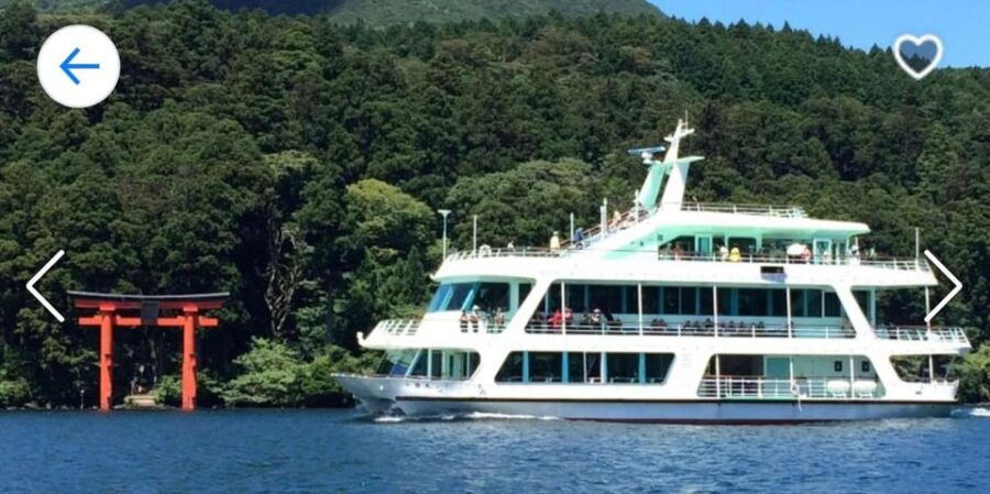 From Tokyo: Mt. Fuji or Hakone Private Sightseeing Day Trip - Trip Overview and Pricing