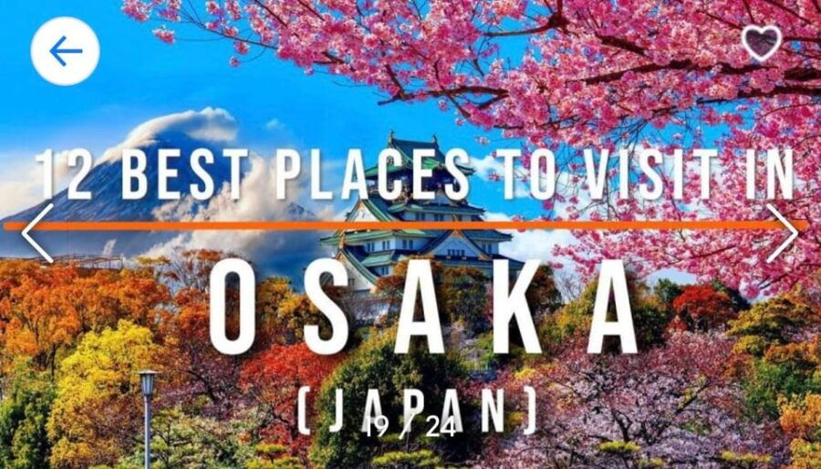 From Tokyo-Private Osaka Kyoto Nara Tour With English Guide - Tour Overview and Pricing