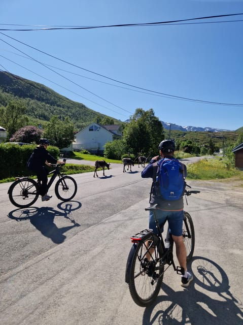 From Tromsø: Fjord Sightseeing With E-Bike - Tour Overview and Pricing