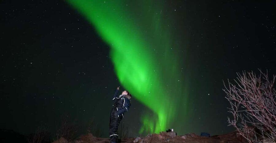 From Tromsø: Northern Lights Tour With Hot Drinks and Photos