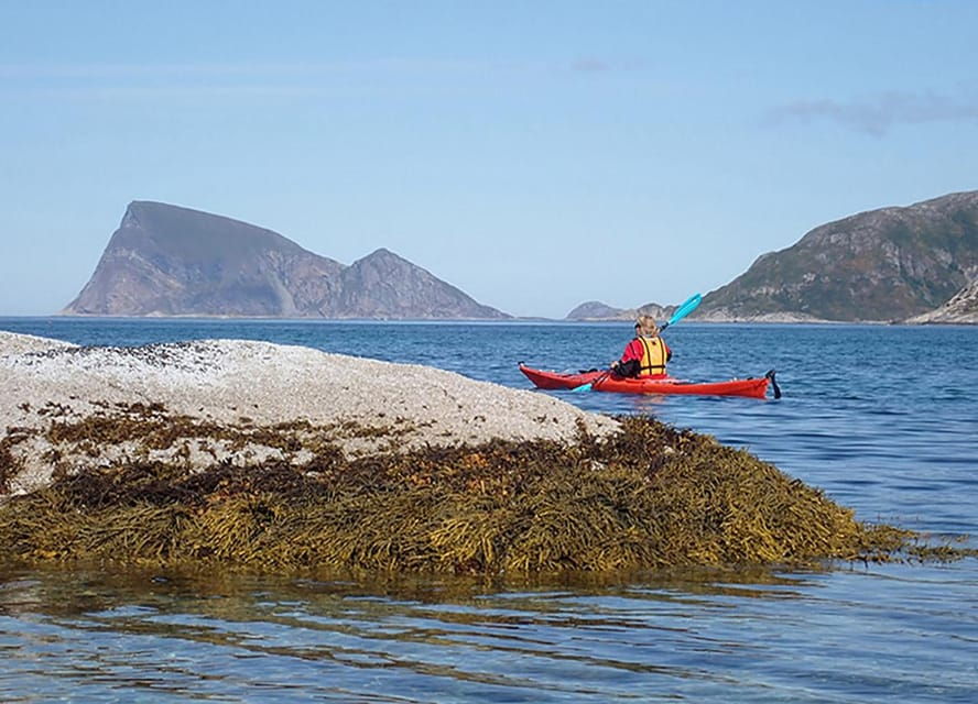 From Tromsø: Sea Kayaking Tour at Sommarøy With Transfer - Tour Overview and Pricing