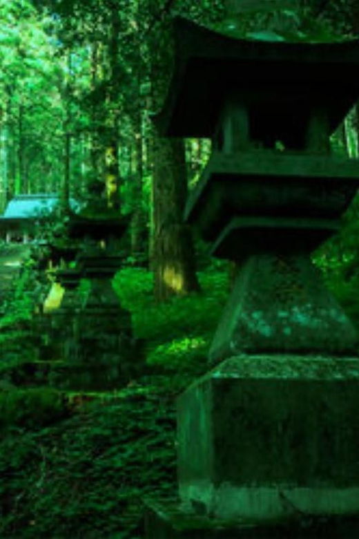Fukuoka: Kyushu Mt. Aso One Day Tour - Itinerary Highlights