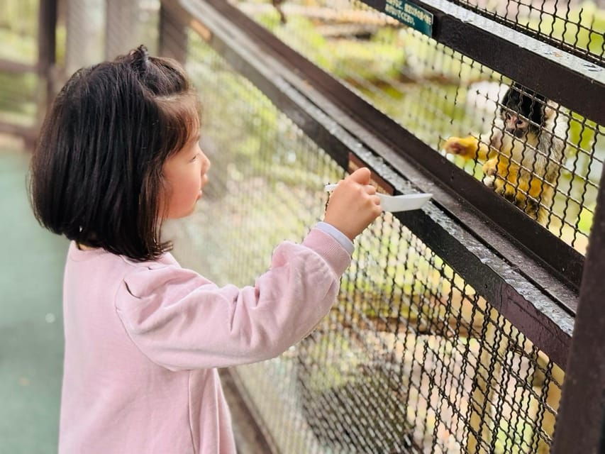 Fukuoka: Kyushu Natural Animal Park & Yufuin One Day Tour - Overview of the Tour