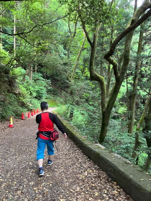FUKUOKA : MOUNT TENPAI TREKKING TOUR