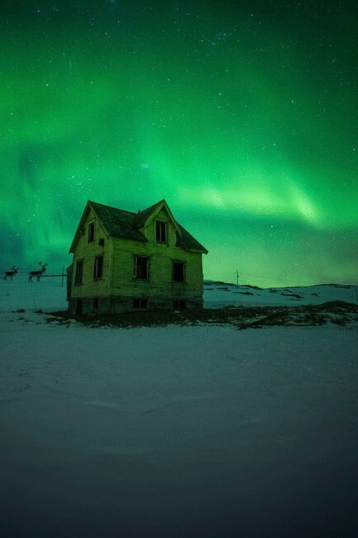 Full Day Magic of the Arctic Lights in Tromso