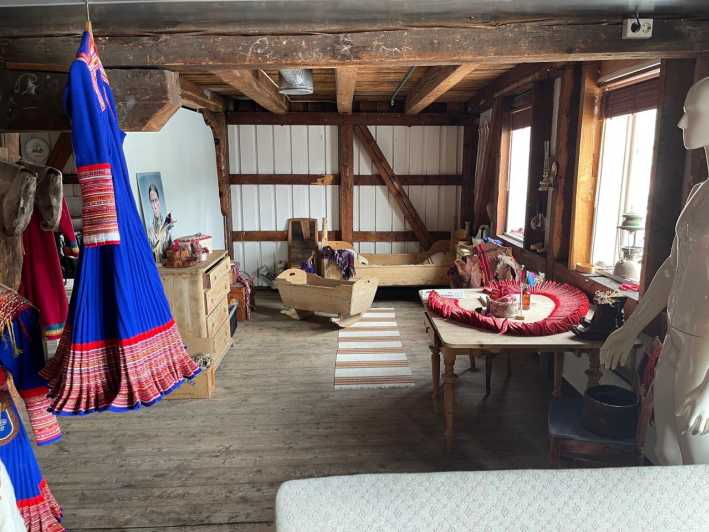 Full Steam Museum - Guided Sami Culture Escursion - Tour Overview and Details