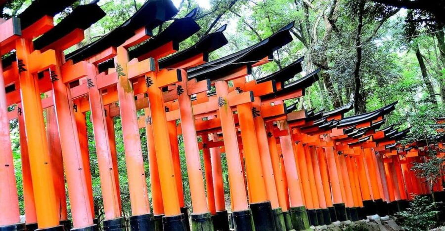 Fushimi Inara-Taisha Imaginary Experience