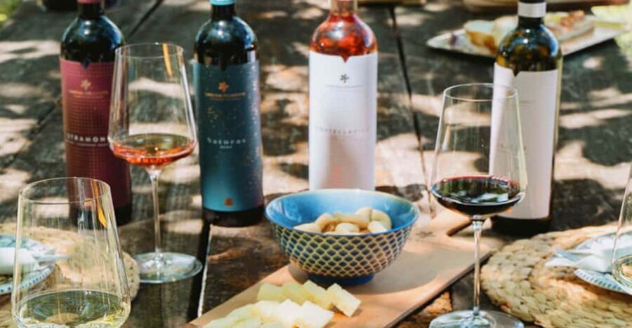 Garda Lake Wine Essential Tasting