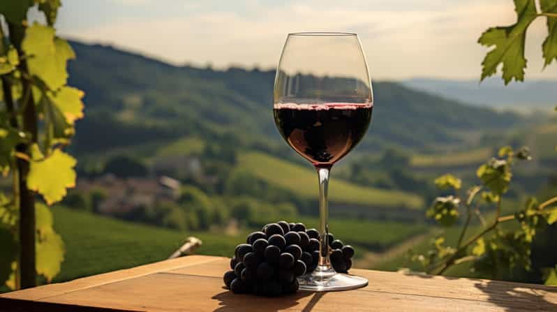Geneva: Guided Wine Tour - Tour Overview