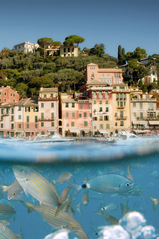 Genoa: Half-Day Tour to Portofino
