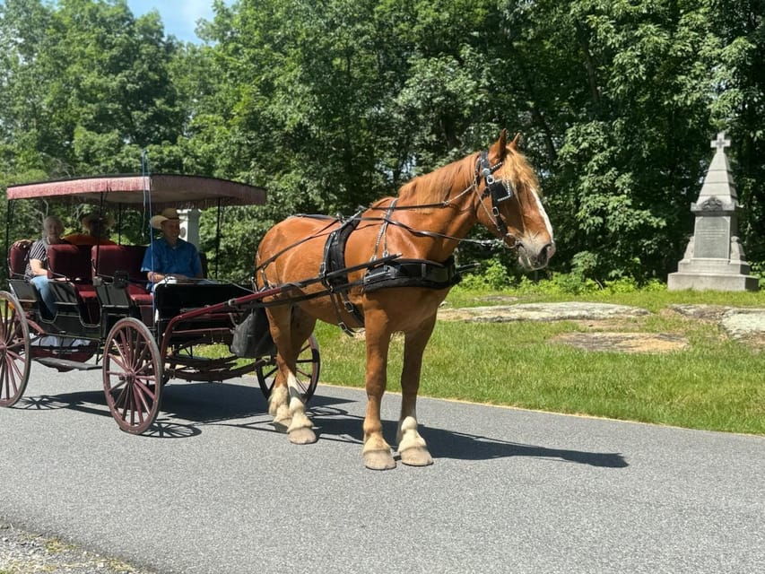 Gettysburg: Culps Hill Historical Carriage Ride Tour