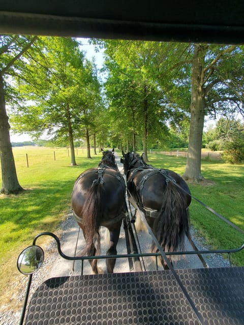 Gettysburg: Horse-Drawn Carriage Tour Countryside & Orchards