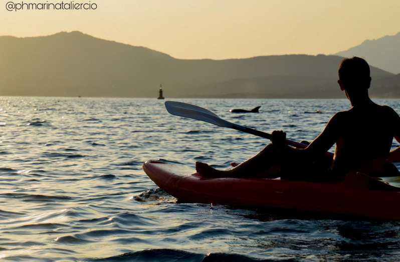 Golfo Aranci: Sunset Dolphin Kayak Tour With Aperitif