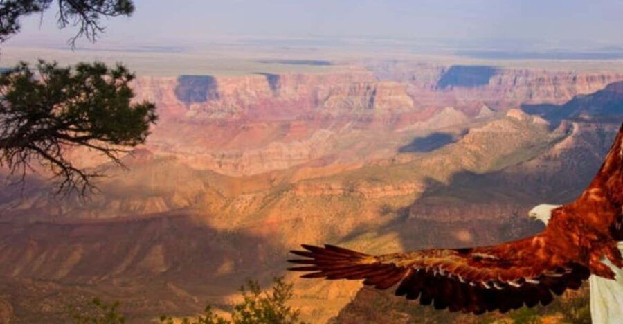 Grand Canyon West: 1-Day Entrance Ticket