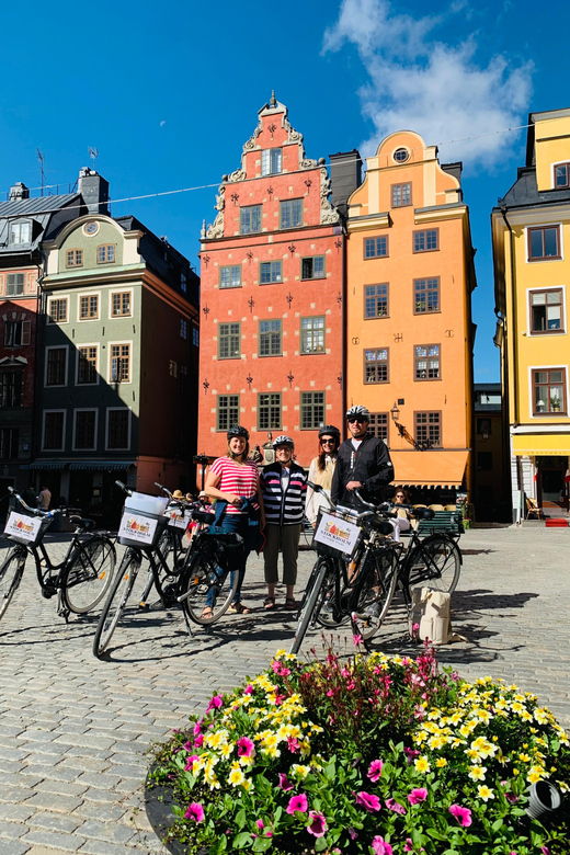 Guided Bike Tour: Stockholm in 3,5h (English or German)