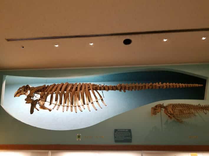 Guided Tour of The Natural History Museum - Tour Overview and Details