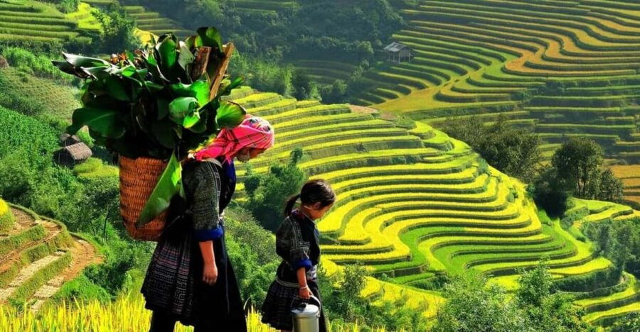 Hanoi: 2 Days Sapa- Trekking Lao Chai, Ta Van, Giang Ta Chai