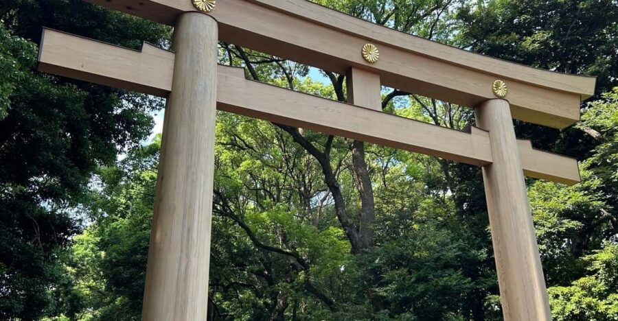 Harajuku: Private Tour, Licensed Guide and Chauffeur Service - Tour Overview