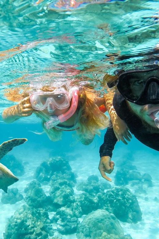 Hilo: Snorkeling With Turtles and Free Videos