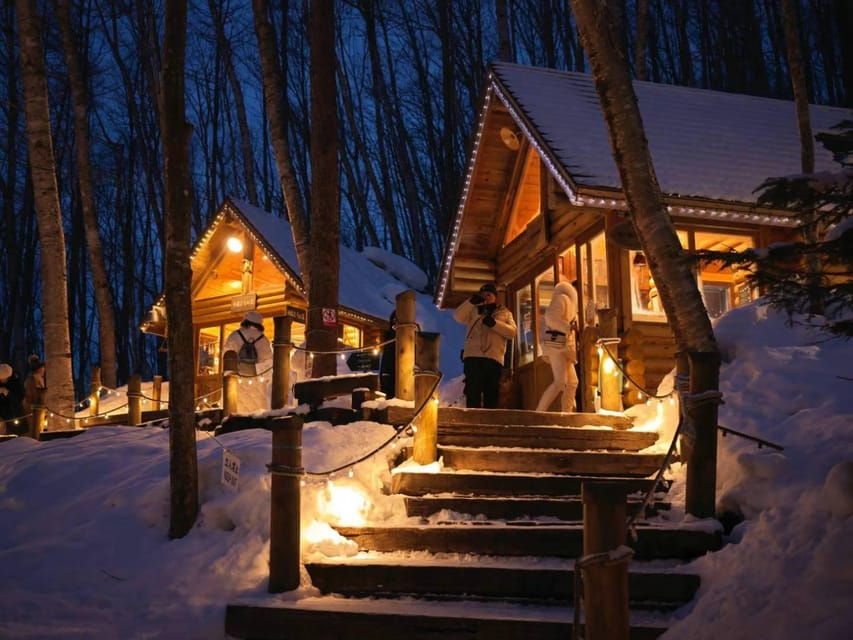 Hokkaido: Asahiyama Zoo, Biei, and Ningle Terrace Tour