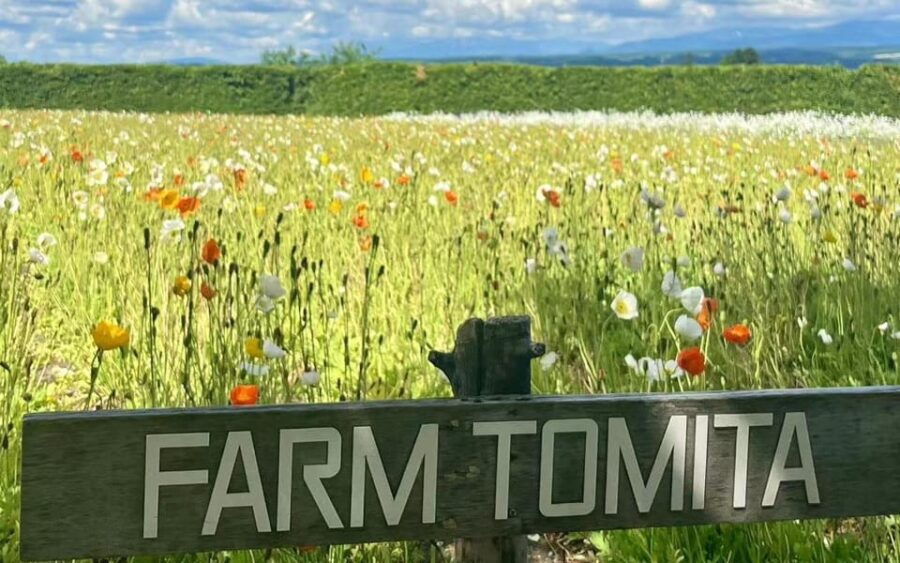 Hokkaido: Biei Furano One-Day Tour (Lunch&Melons Option)