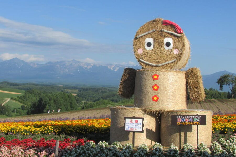 Hokkaido Furano Tomita Farm Tour With Melon Buffet Option