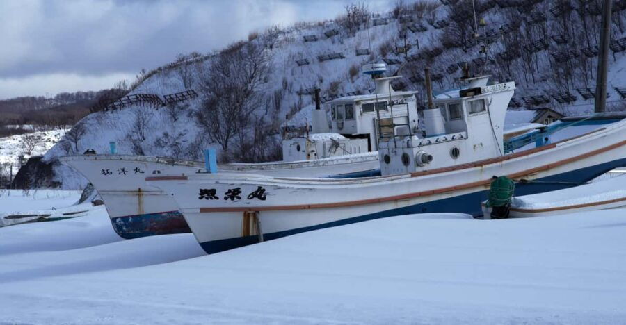 Hokkaido Niseko Ski Day Tour