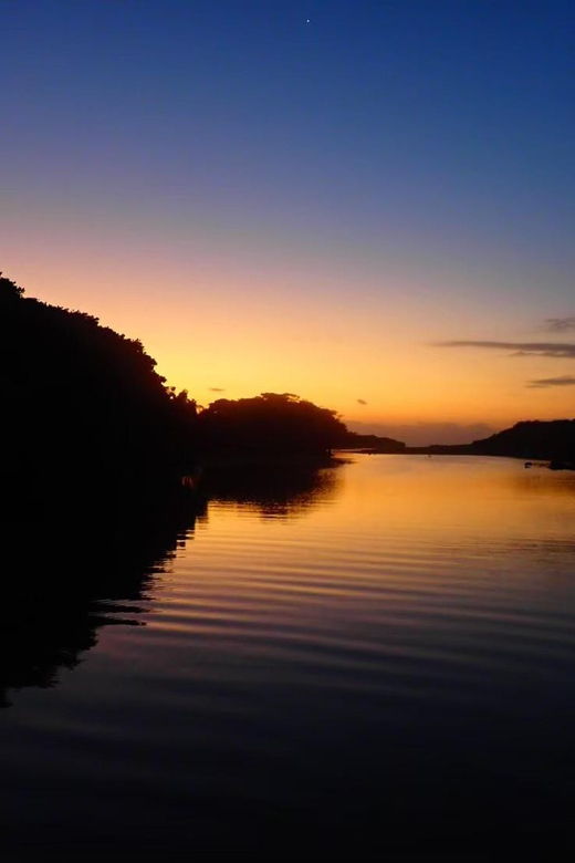 Ishigaki: Amazing Sunrise Canoe Tour at the Mangrove River - Pricing and Reservation Details
