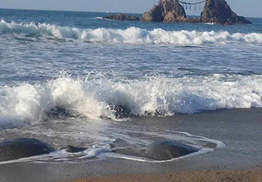 Itoshima: Customized Private Tour With a Local Guide