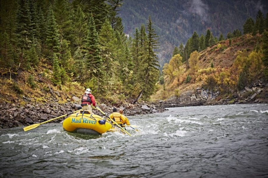 Jackson: 8-Mile Classic Boat Whitewater Rafting Trip