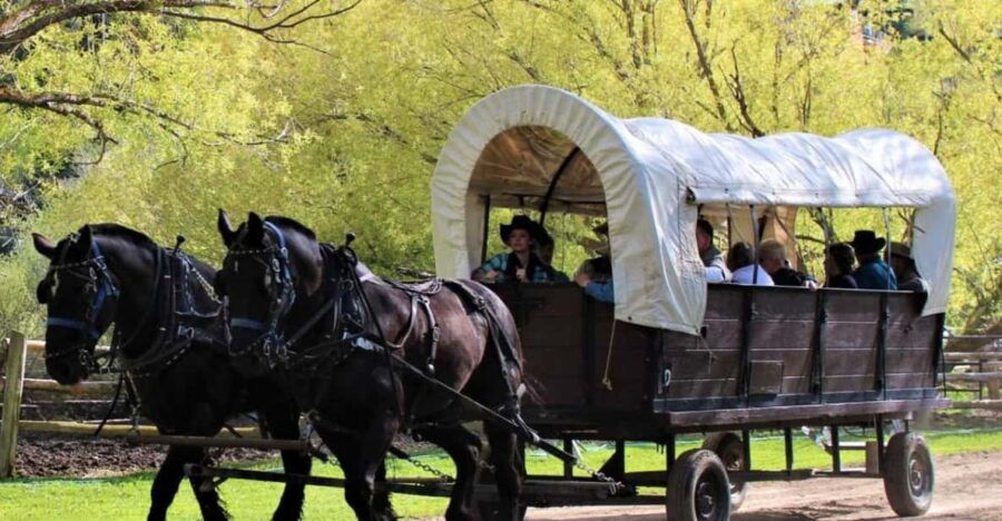 Jackson: Chuck Wagon Cookout and Live Show - Overview and Pricing