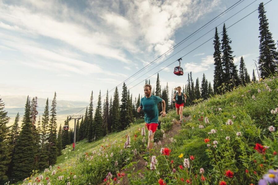 Jackson Hole: Aerial Tram and Gondolas Admission Ticket