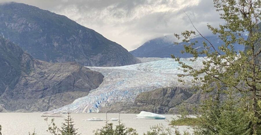 Juneau: Mendenhall Glacier and Whale Watching Tour