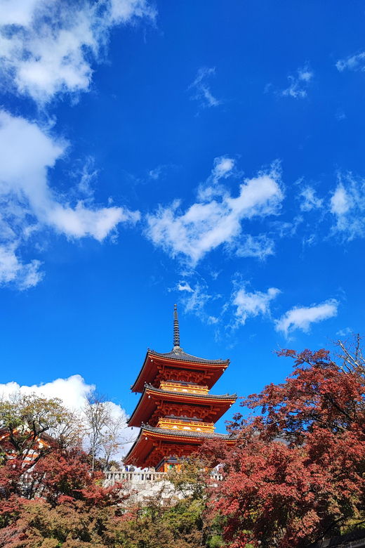 Kyoto Imaginary Experience